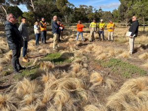 Contact Organics at the Serrated Tussock Open Field Day in Eynesbury Vic 